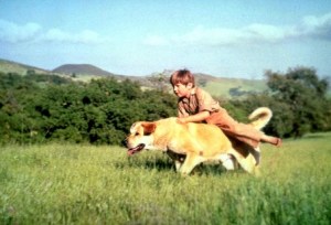 So happy, yet so sad...